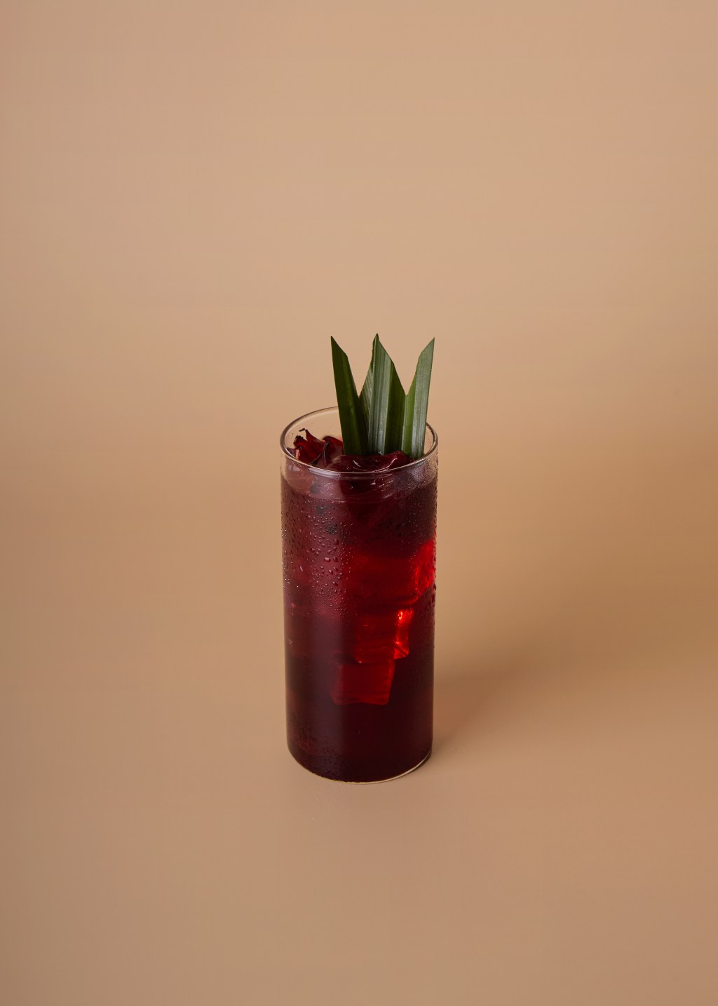 Trà Hibbicus Attiso